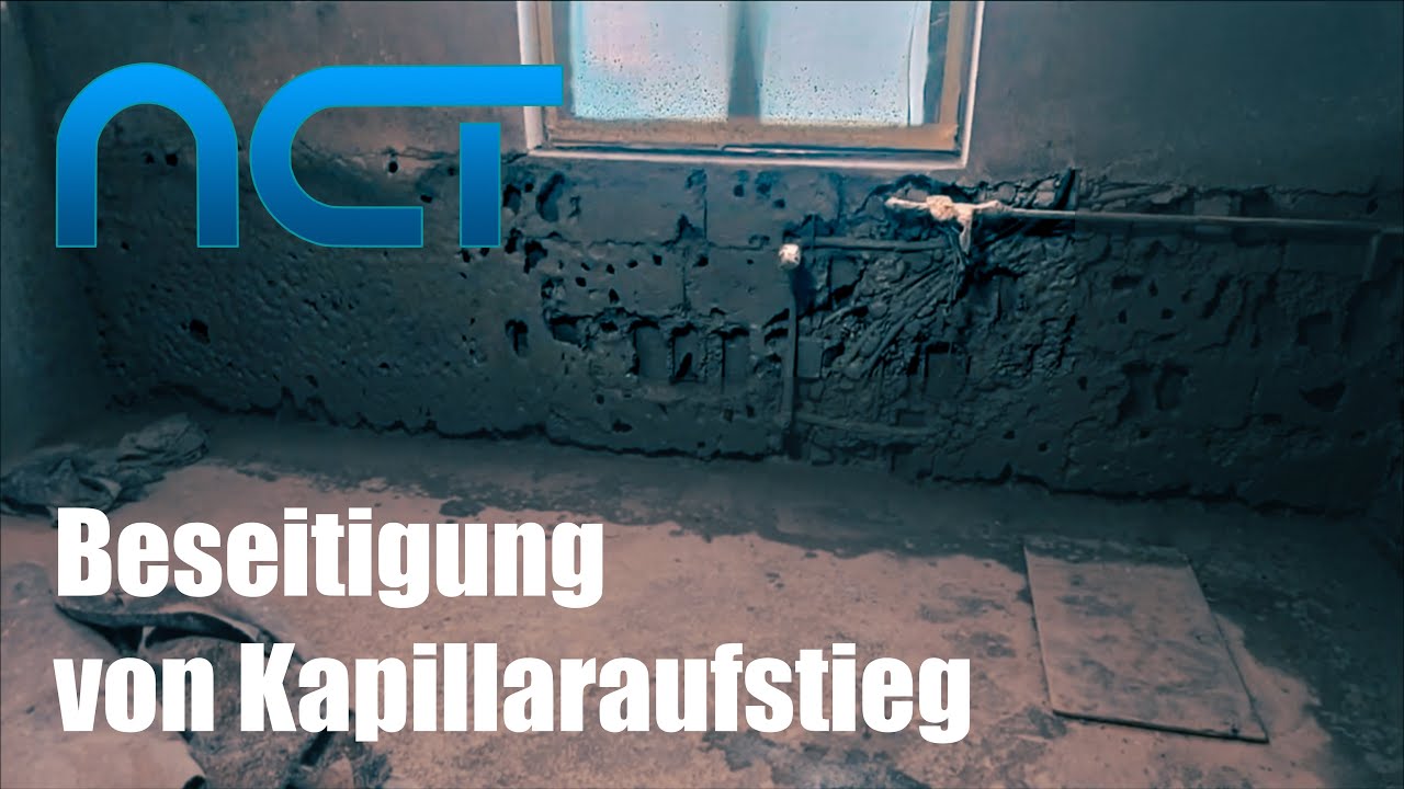 Schluss mit nassen W&auml;nden! Der NCT-Trick gegen Kellerfeuchte.
