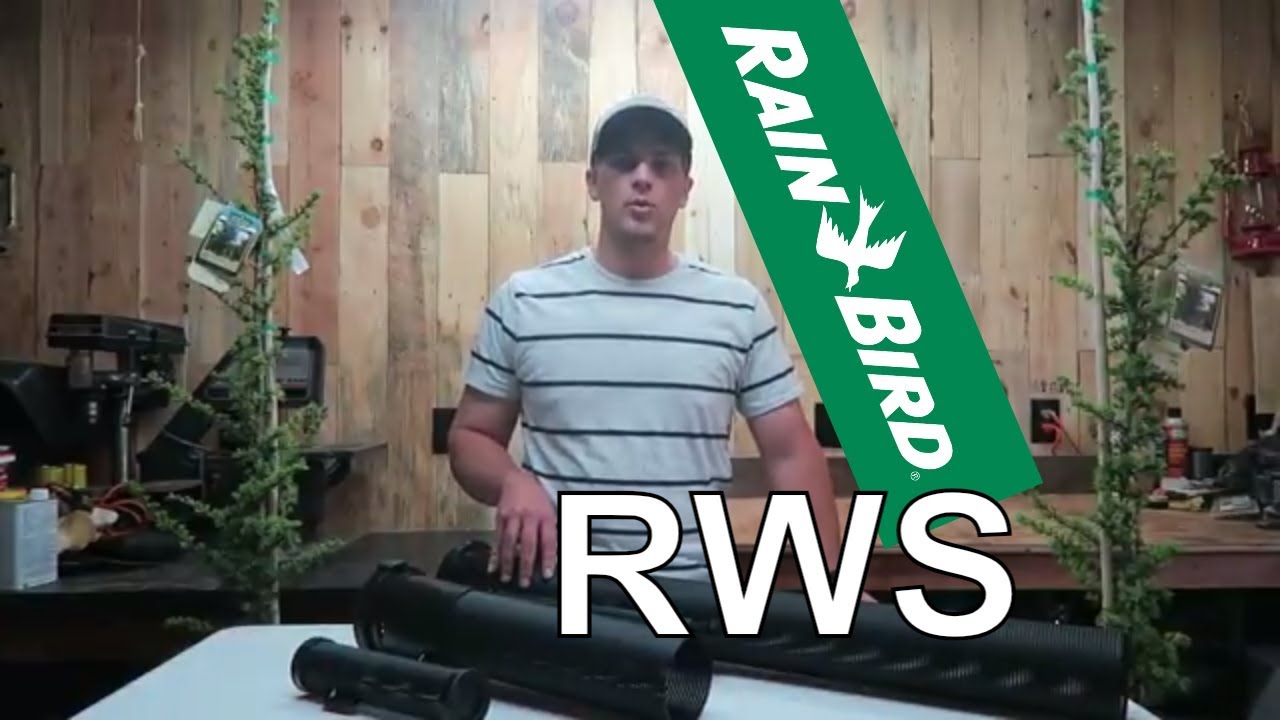 What is Rain Bird Root Watering System (RWS)