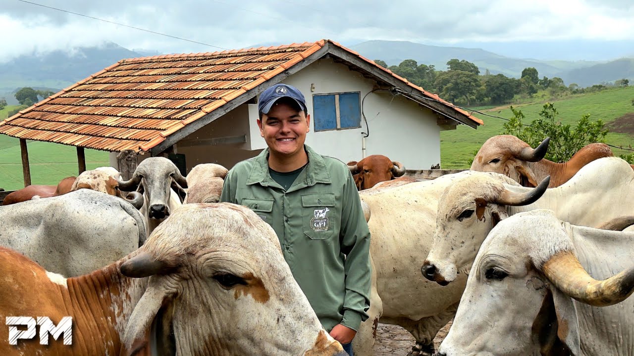 ELES LARGARAM A PROFISSÃO NA CIDADE PARA SEGUIR A PAIXÃO PELAS VACAS NA ROÇA