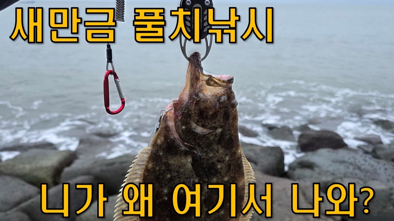 새만금 풀치낚시 하러왔는데 (광어가 나오네?)