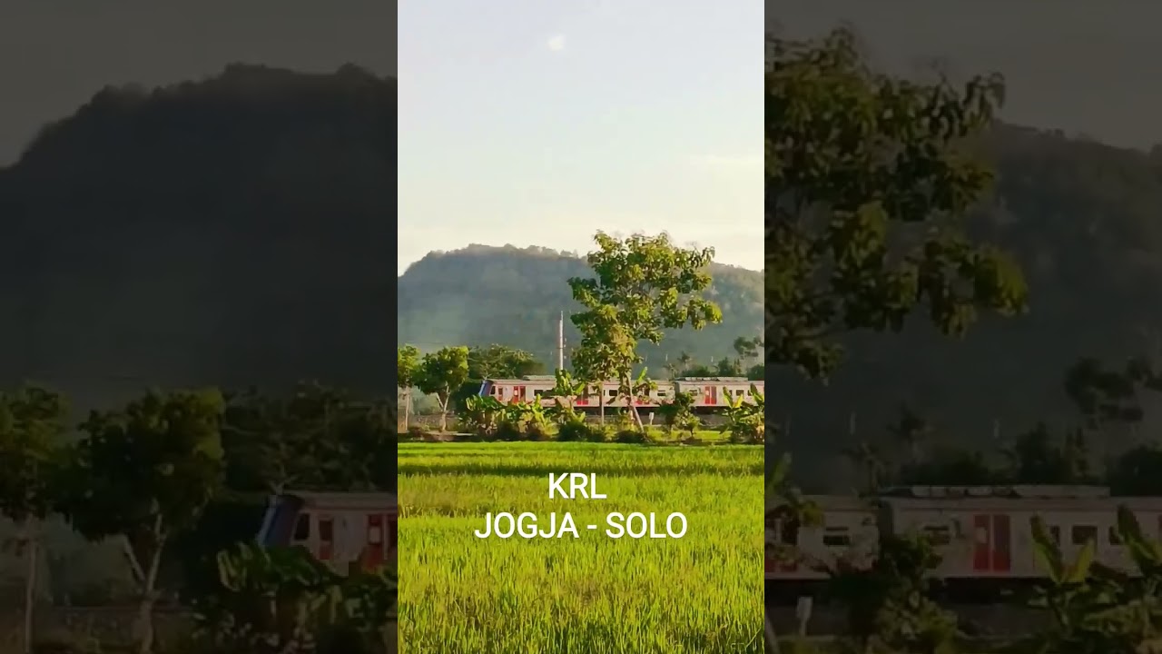 KRL Jogja-Solo melintasi Stasiun Brambanan #kai #krljogja #klaten #keretaapiindonesia #keretaapi