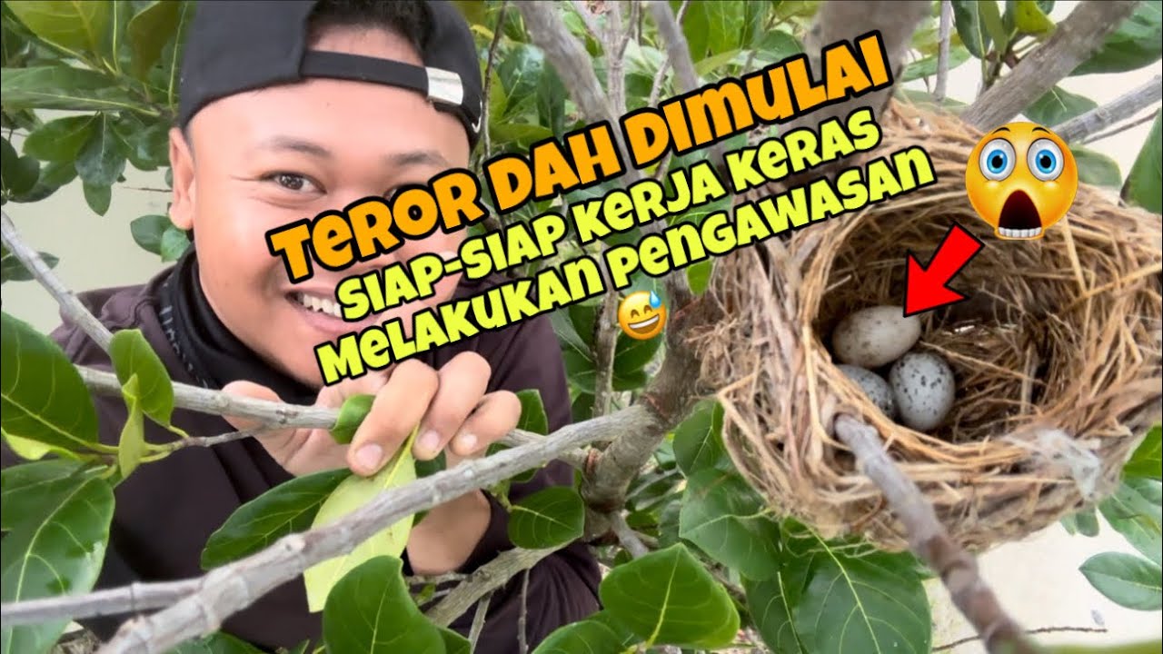 Suasana makin horor, udah mau gelap denger suara burung mistis pula, untung ini bulan puasa 😁