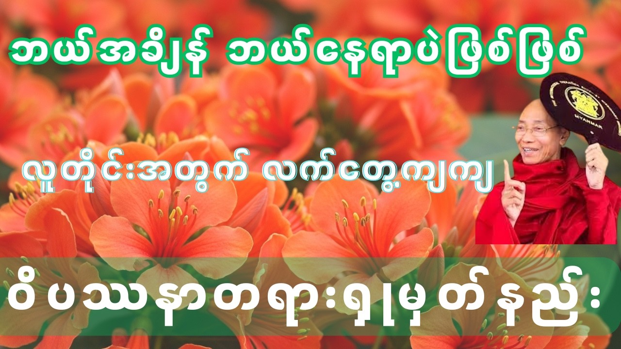 လူတိုင်းရှုပွါး ဝိပဿနာတရားတော်   ပါချုပ်ဆရာတော်