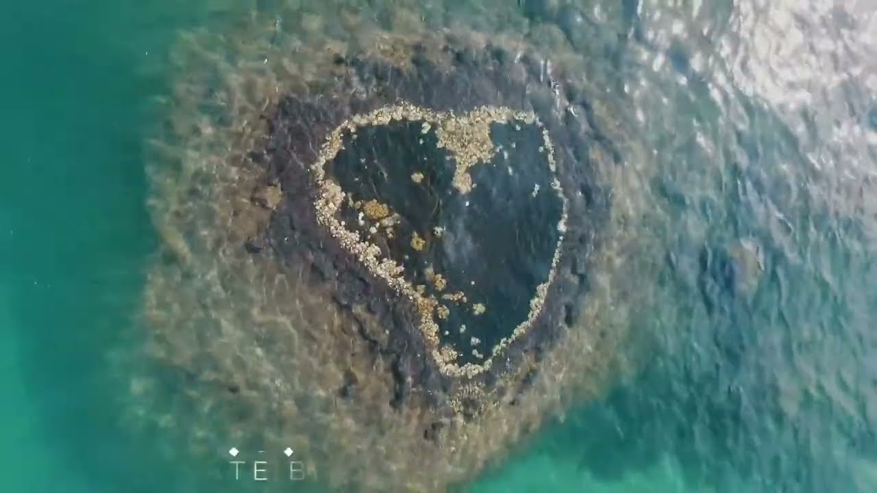 Ilha do Japão Angra dos Reis à venda