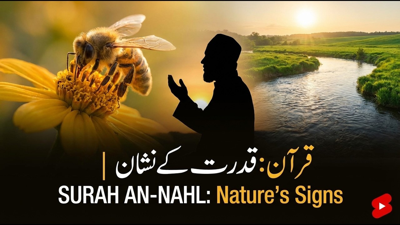 Surah An-Nahl: Shahad ki Makhi aur Allah ki Qudrat 🐝 | Dil Hila Dene Wala Paigham