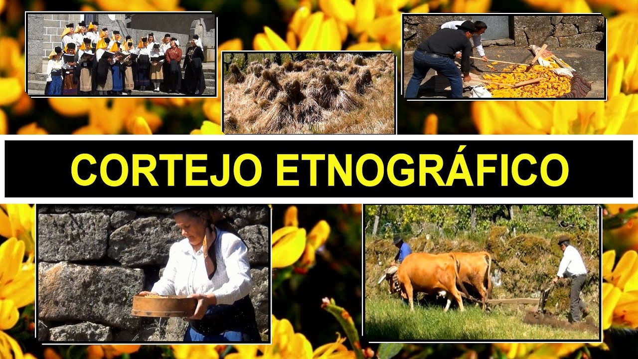Cortejo Etnográfico em Manhouce - II Festa da Vitela de Lafões
