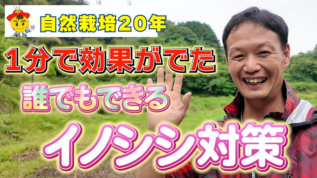 【自然栽培362】1分で効果抜群イノシシ対策！