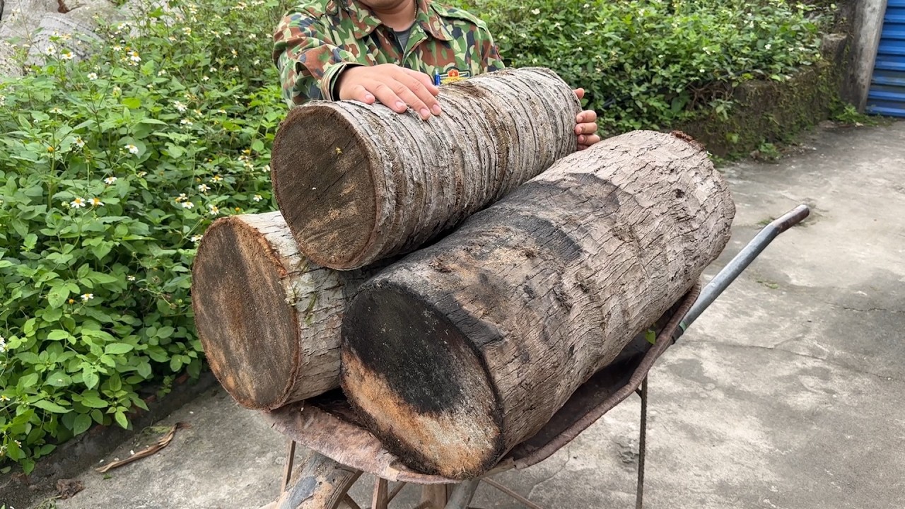 Best Crazy Woodworking Craft You've Ever Seen That's Terrifying! Nobody Believed This Worthless Logs