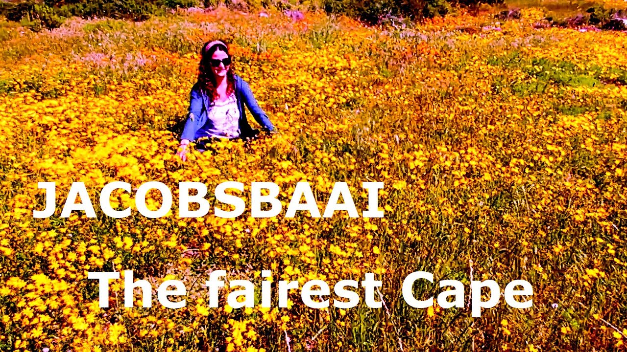 Jacobsbaai in spring on the West Coast of the 