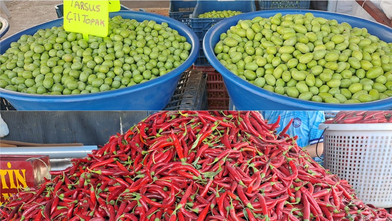 ADANA'DA EN BÜYÜK SALÇALIK BİBER ZEYTİN SATIŞ MERKEZİ  #salçalıkbiber #zeytinlik #seyhan