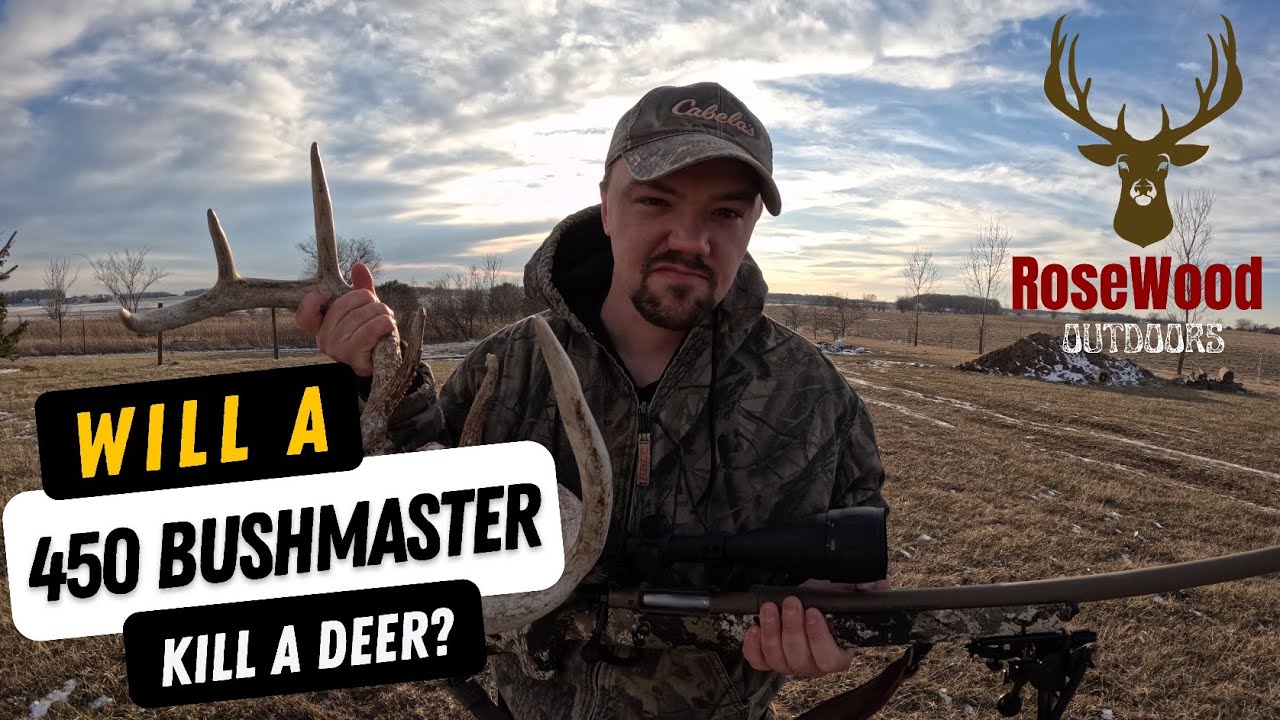 Will A 450 Bushmaster Kill A Deer