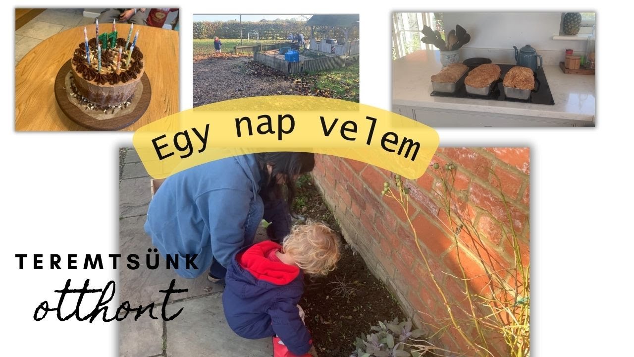 Egy otthoni nap velem