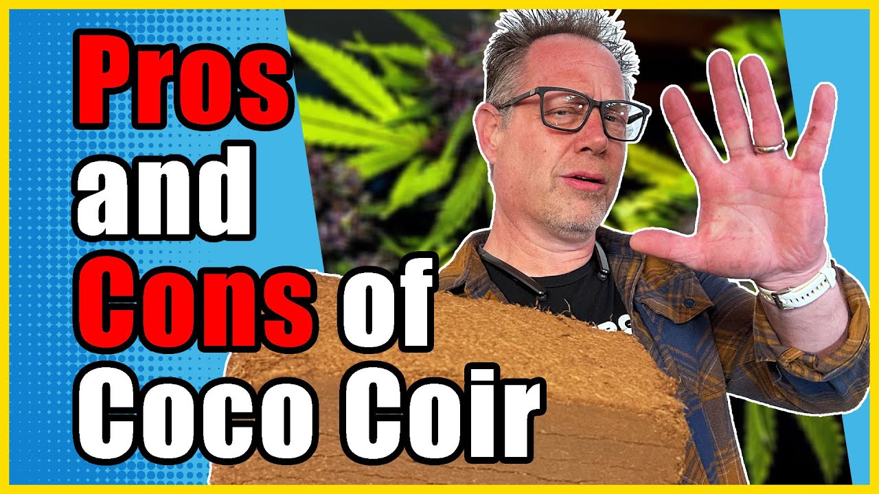 Don't Grow Your Cannabis in Coco Coir Unless You Know About THIS