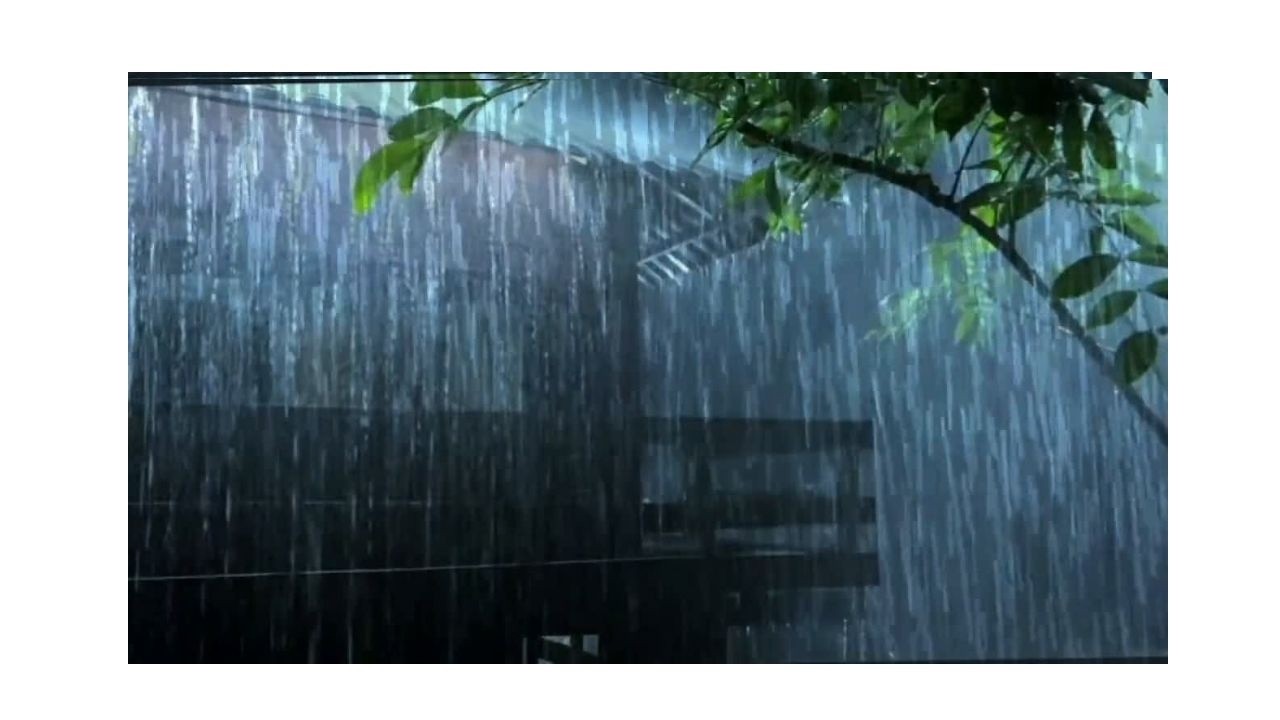 Heavy Rain Sounds for Deep Sleep – Peaceful Night in the Forest