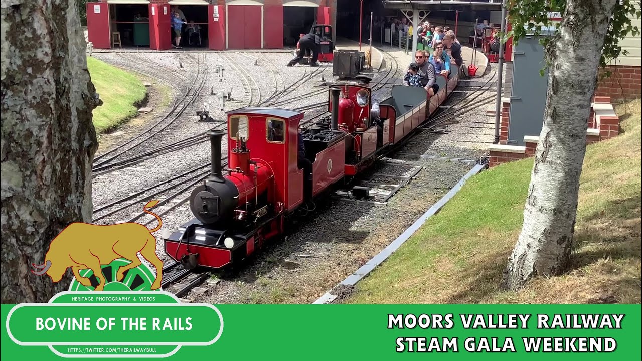 Moors Valley Railway Steam Gala Weekend - 26th June 2022