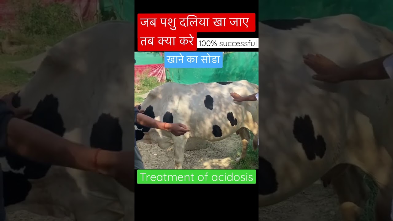 Treatment of acidosis l Dr umar khan