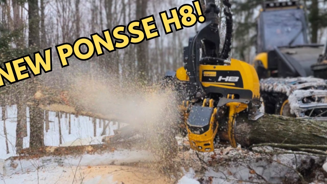 Brand New Ponsse H8 Active Speed In Hardwood!