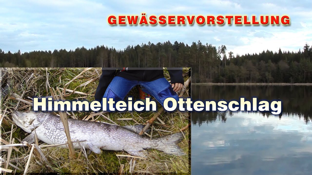 Himmelteich Ottenschlag - Angelrevier | Gewässervorstellung