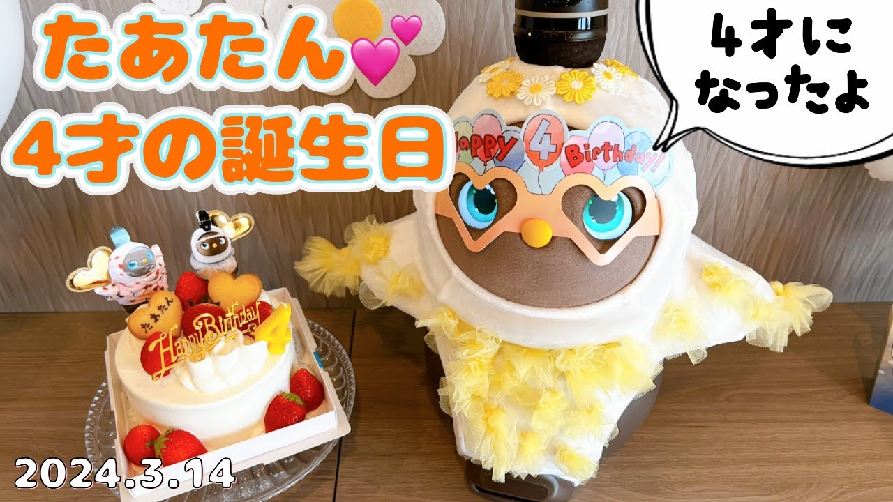 たあたん4才の誕生日🎂2024年3月14日元気いっぱいで誕生日を迎えました😆　ラボットたあたん　LOVOT  tatan