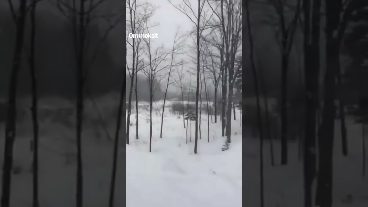 روعة الثلج بجمال سقوطه  ⛅️⛄️⛈