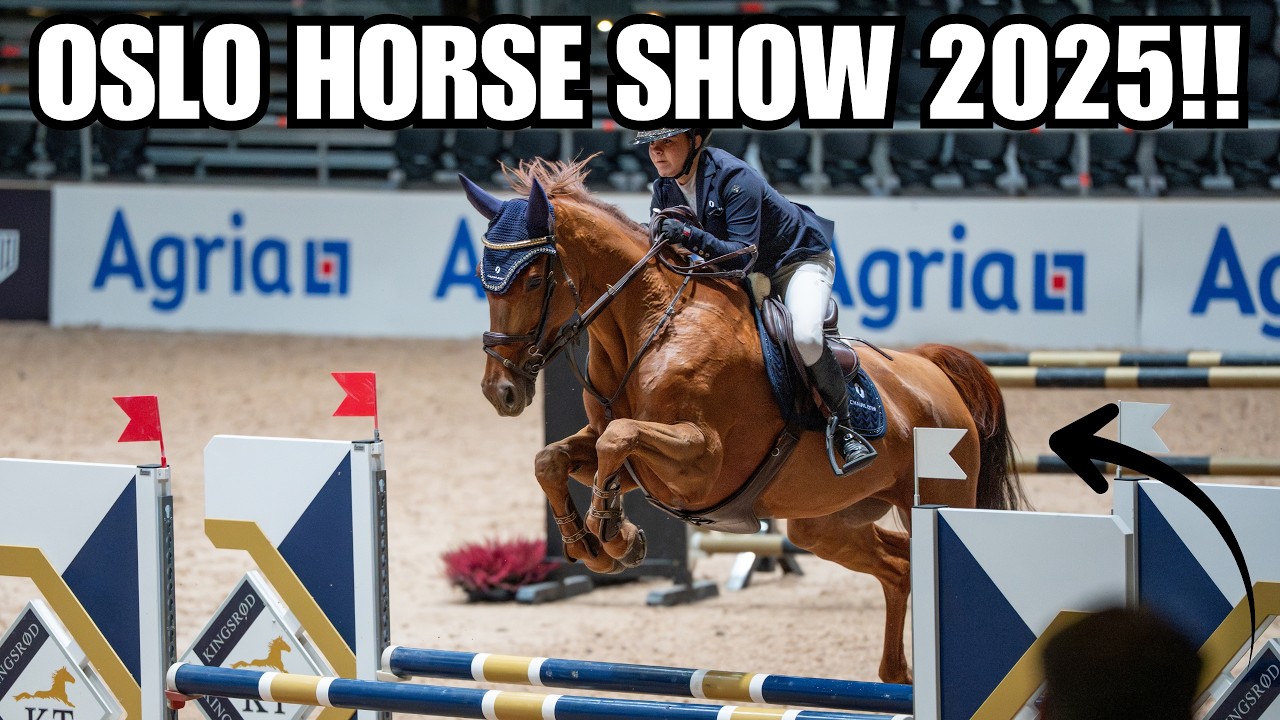 OSLO HORSE SHOW VLOGG! + VOICEOVER FRA ALLE RUNDENE