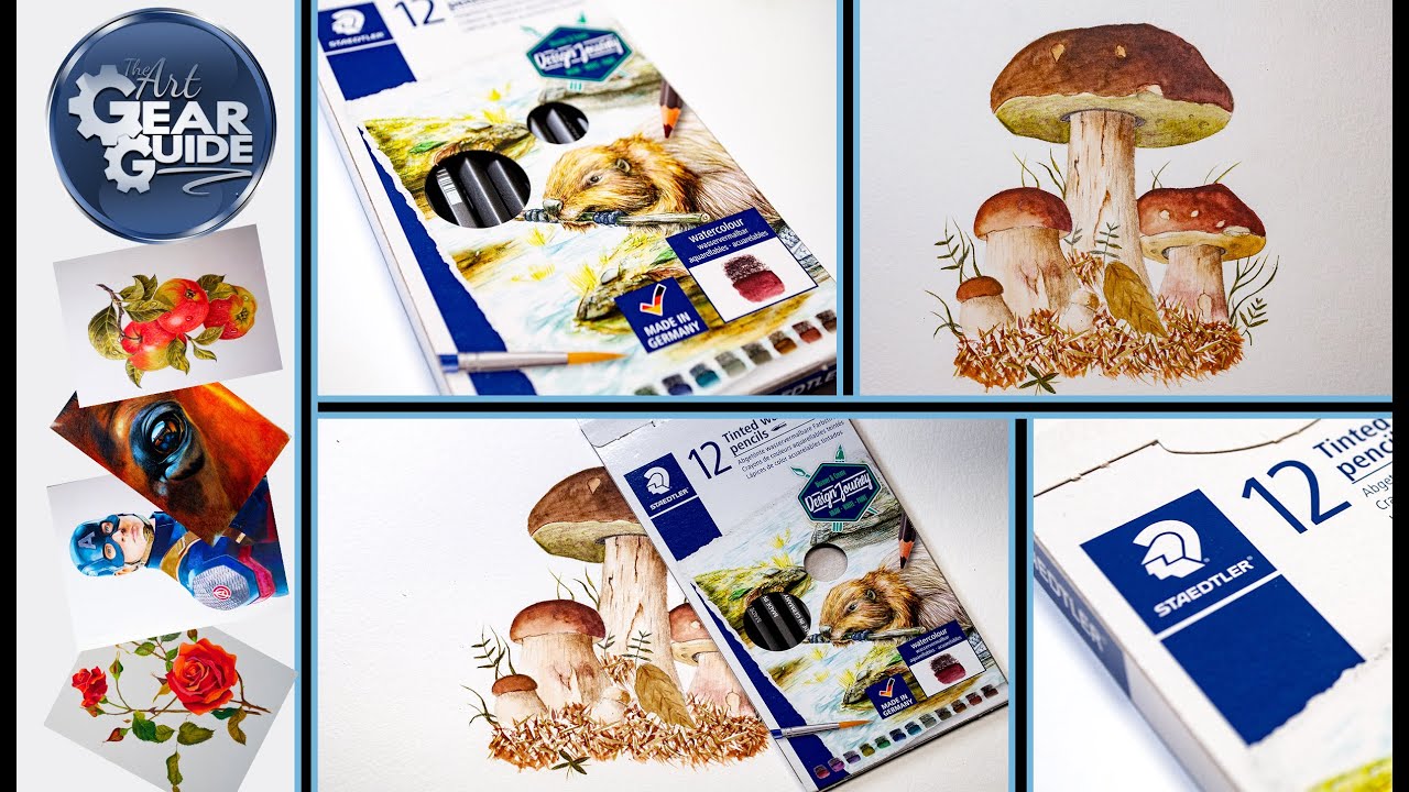Botanical Artwork Using Staedtler Tinted Watercolor Pencils | Staedtler Tinted Watercolour Pencils
