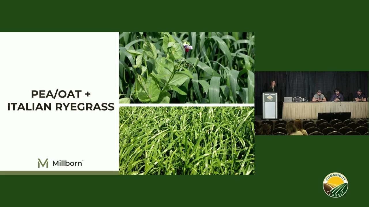 Forage Focus: Maximizing Your Acres with Profitable Feed Systems