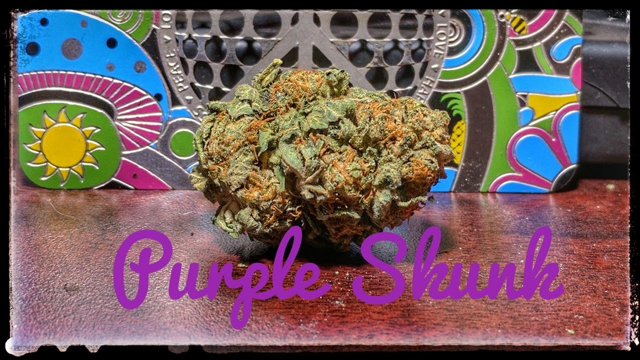Strain Review Psk Purple Skunk