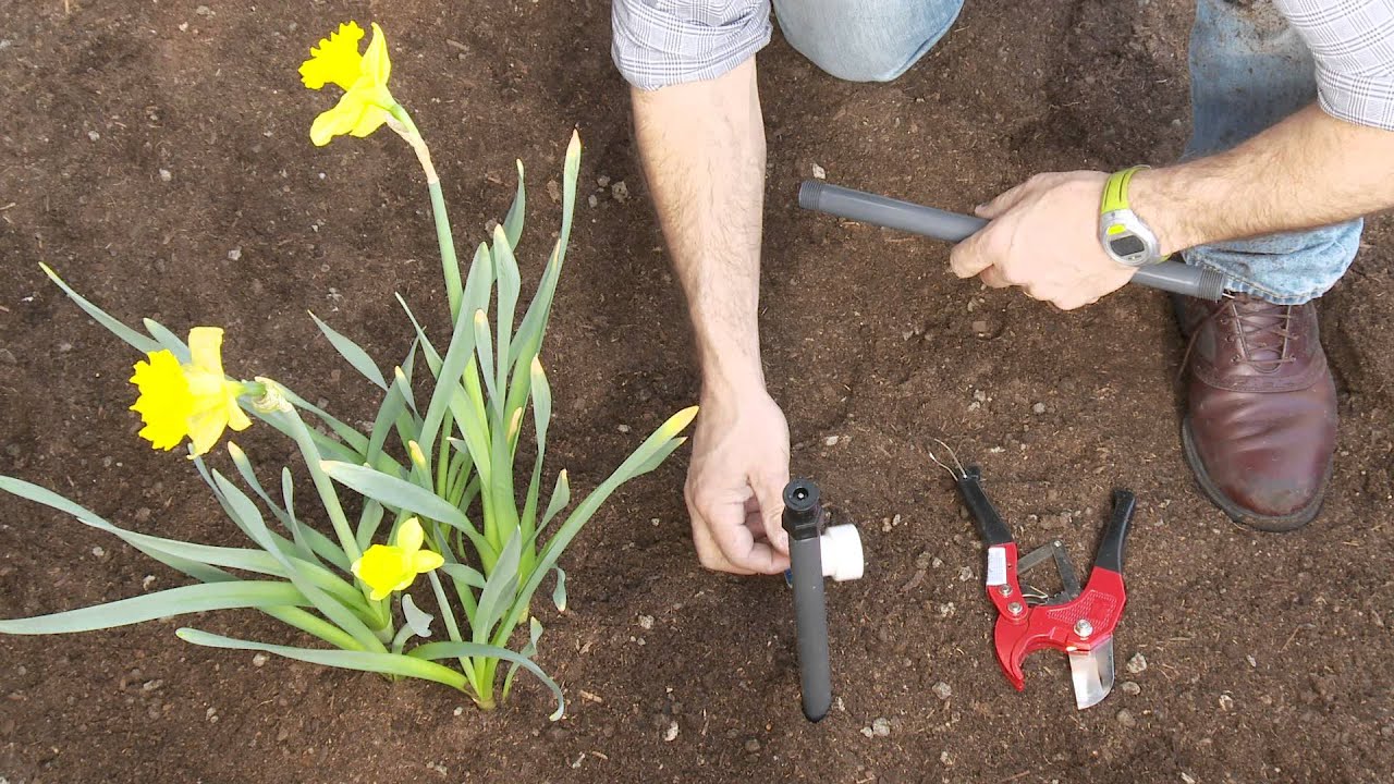 How To Repair PVC Sprinkler Pipe; Extend a Shrub Riser Glueless Fittings PVC-Lock®