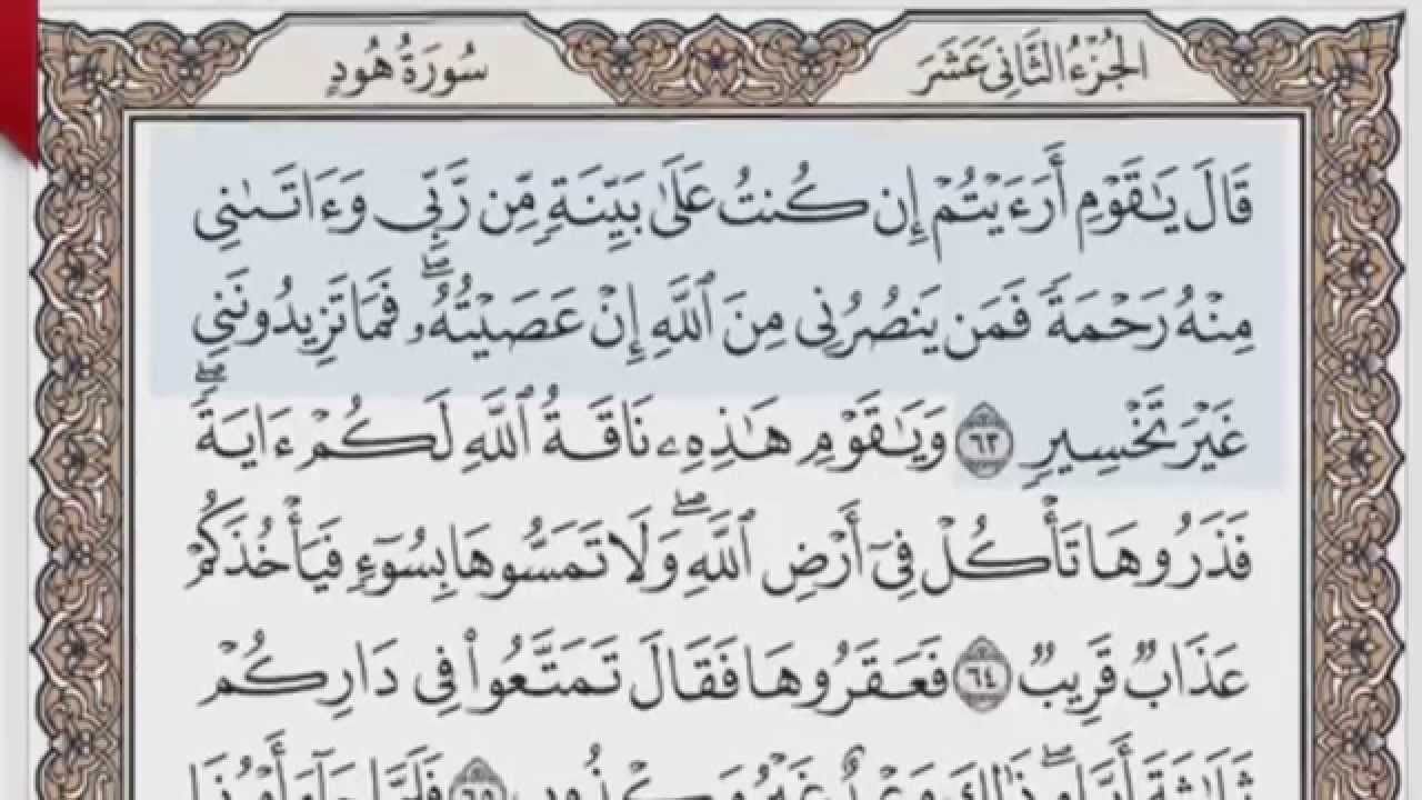 القرآن الكريم بالصفحات صوت وصورة ص/ 229 الشيخ محمود خليل الحصري بمد المنفصل