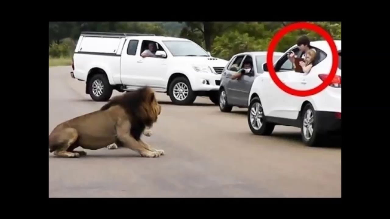 Video which made the whole world cry 2016