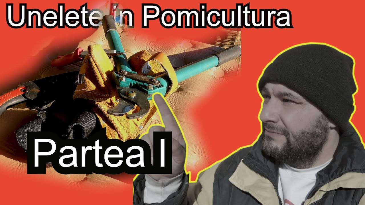 НАБОР ИНСТРУМЕНТОВ POMICULTURE - пилы, ножницы, бритвы и др. 1