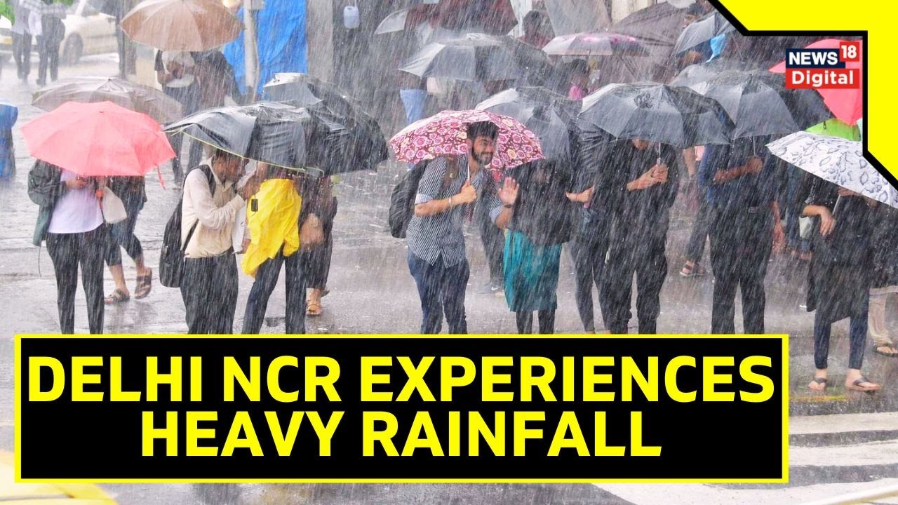 Delhi Rains: Downpour Soaks Delhi and Noida, Causing Road Waterlogging | Delhi Flood | Weather News