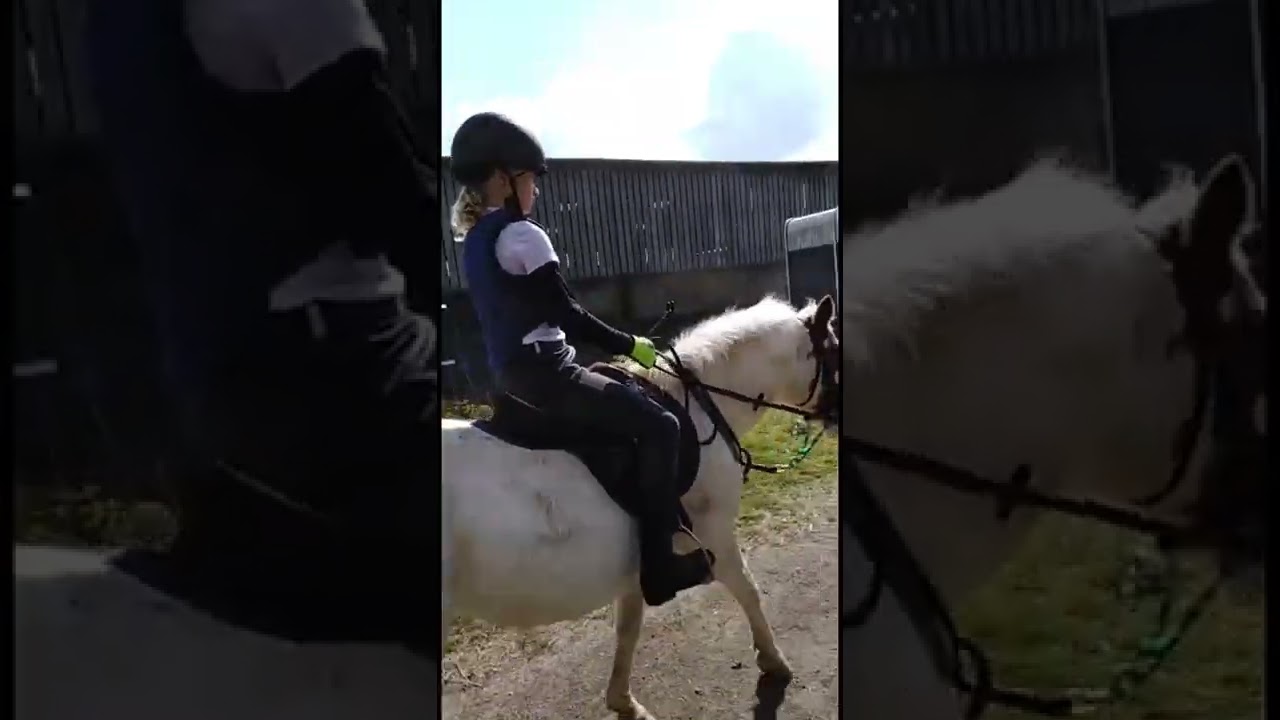 Same horse , same girl, same yard just 1/2 years apart 😝