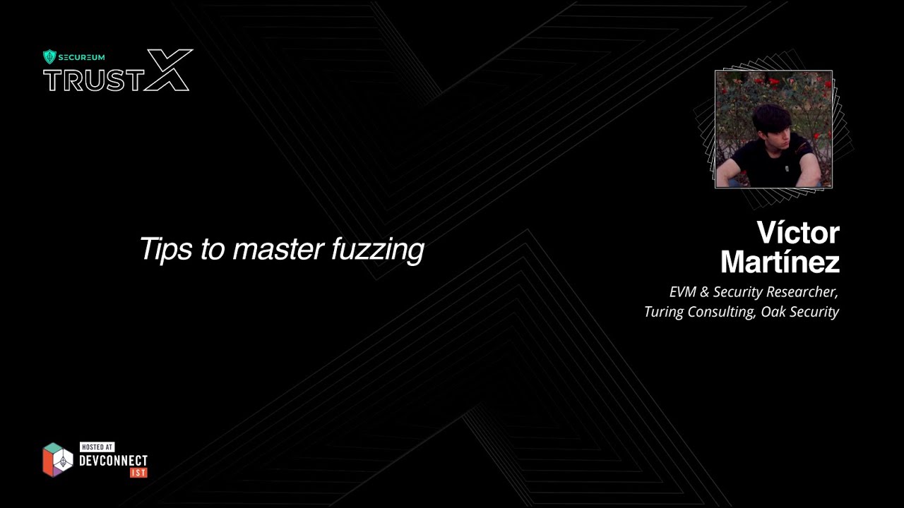 Tips to master fuzzing