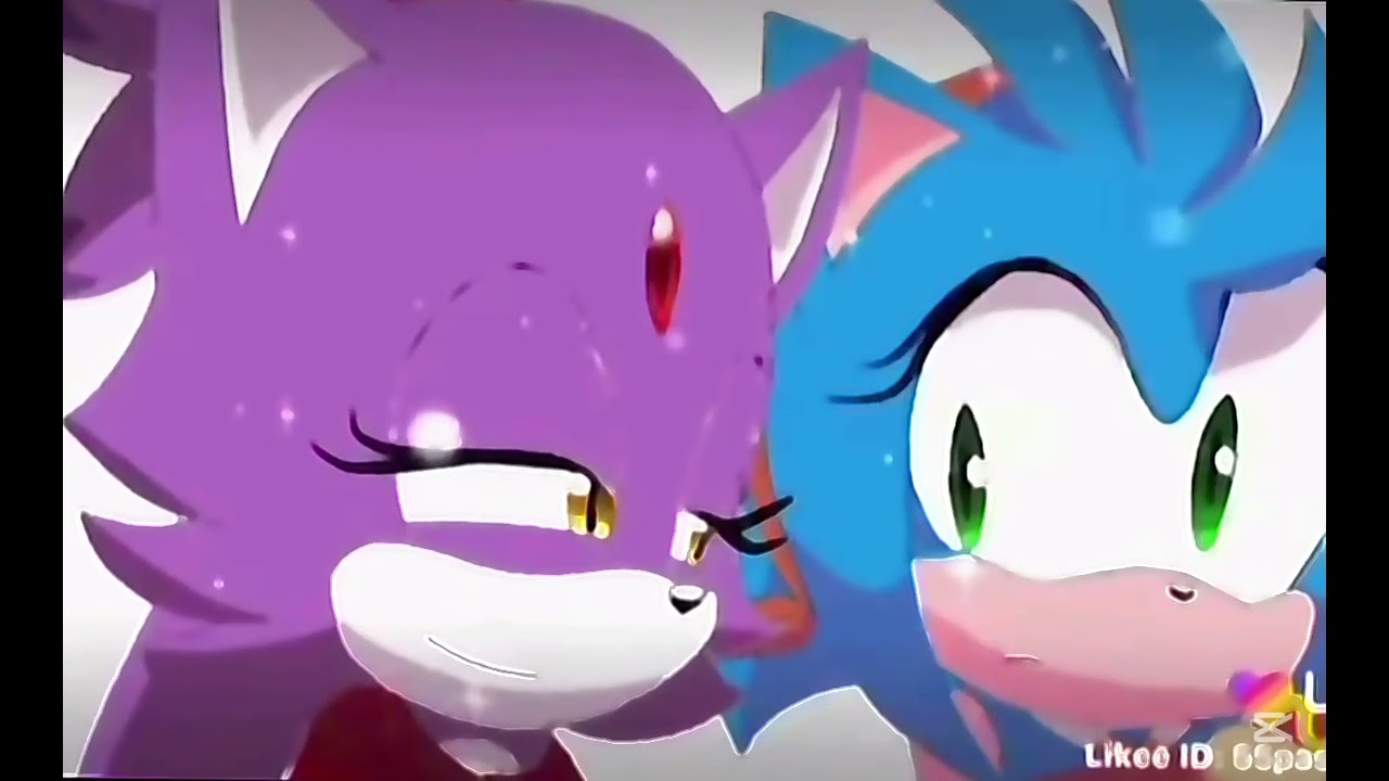 Sonia rose besa a stolas 