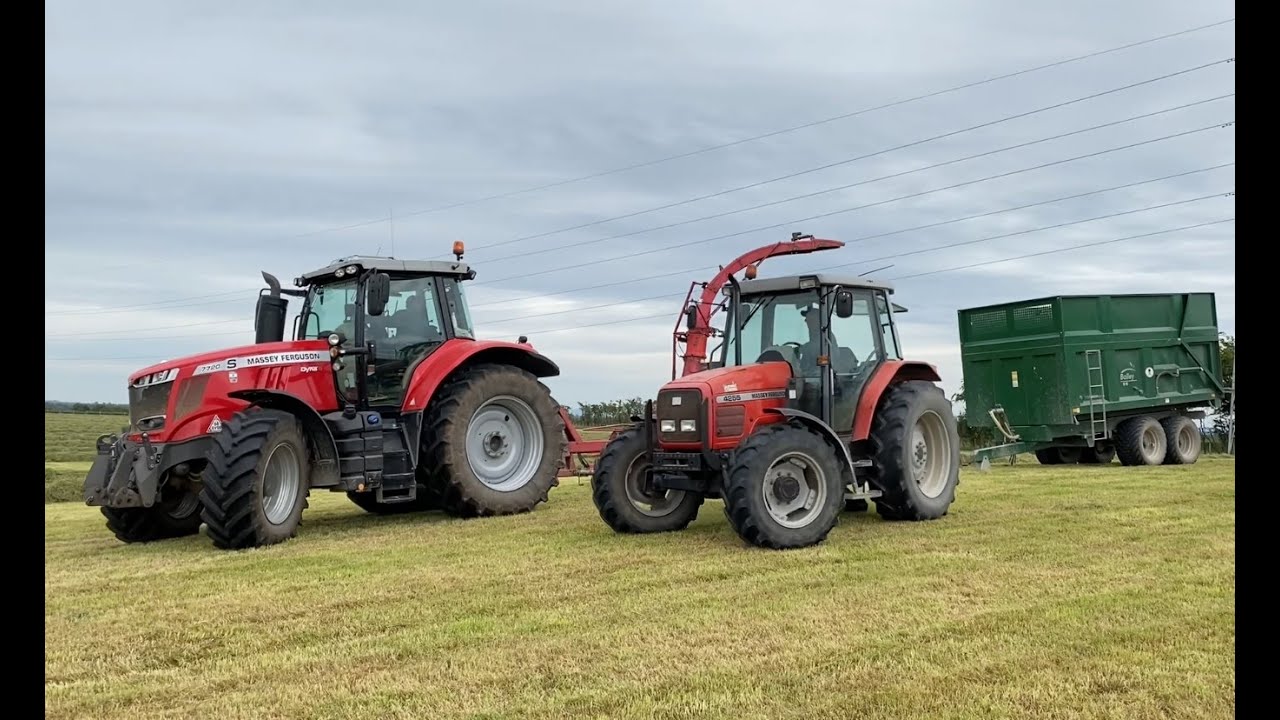 Chopping, carting & clamping with classic & modern Massey team and JF drag forager.