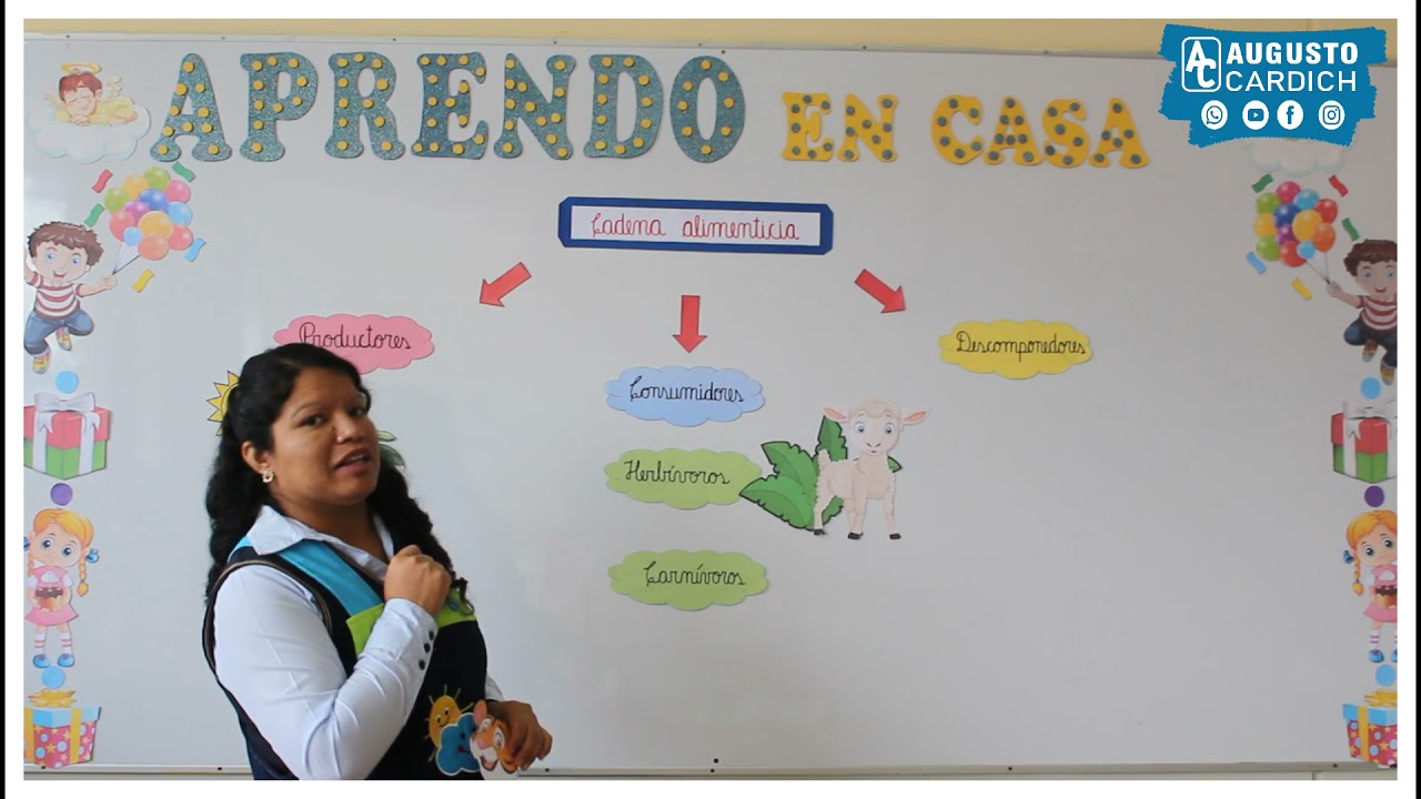 CADENA ALIMENTICIA 1ER GRADO