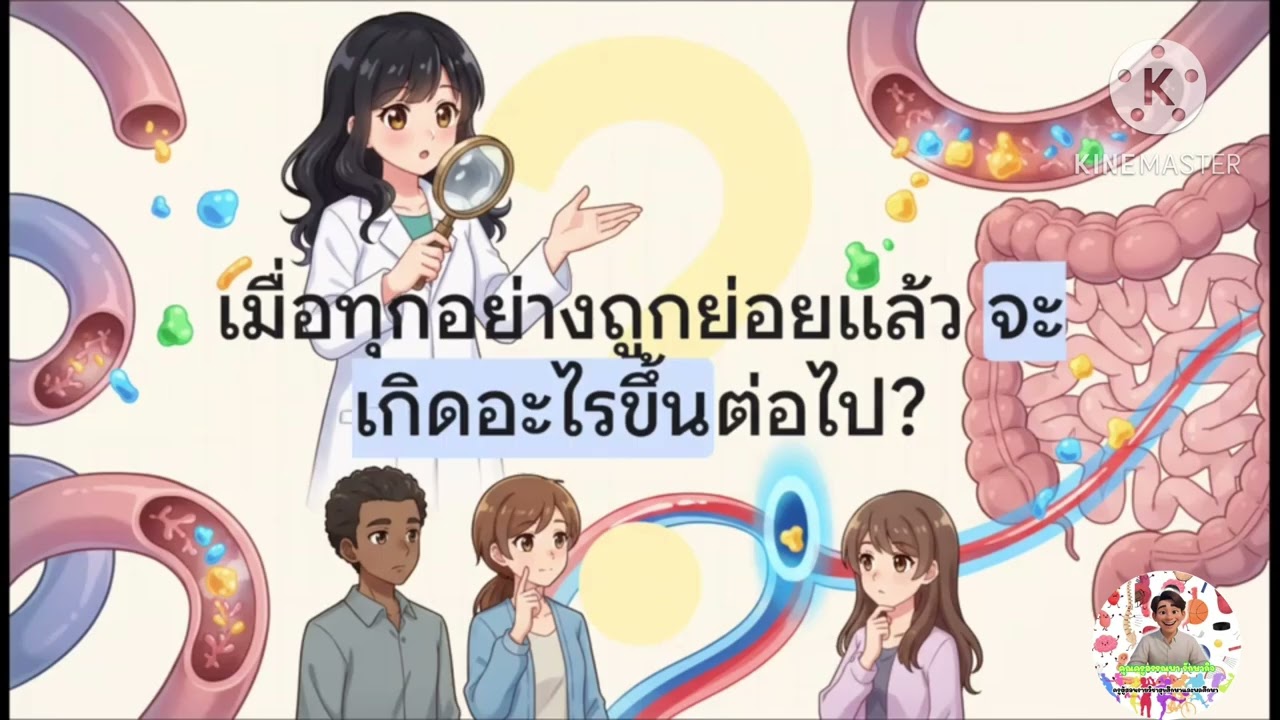 เรื่องระบบย่อยอาหารด่านที่สี่ศูนย์กลางการทำงานลำไส้เล็ก