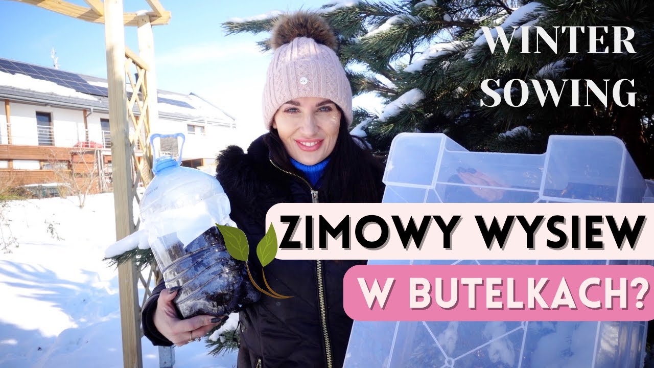 WINTER SOWING - ZIMOWY WYSIEW NASION - CO TO JEST I CZY TO DZIAŁA? | Zakazany Ogród