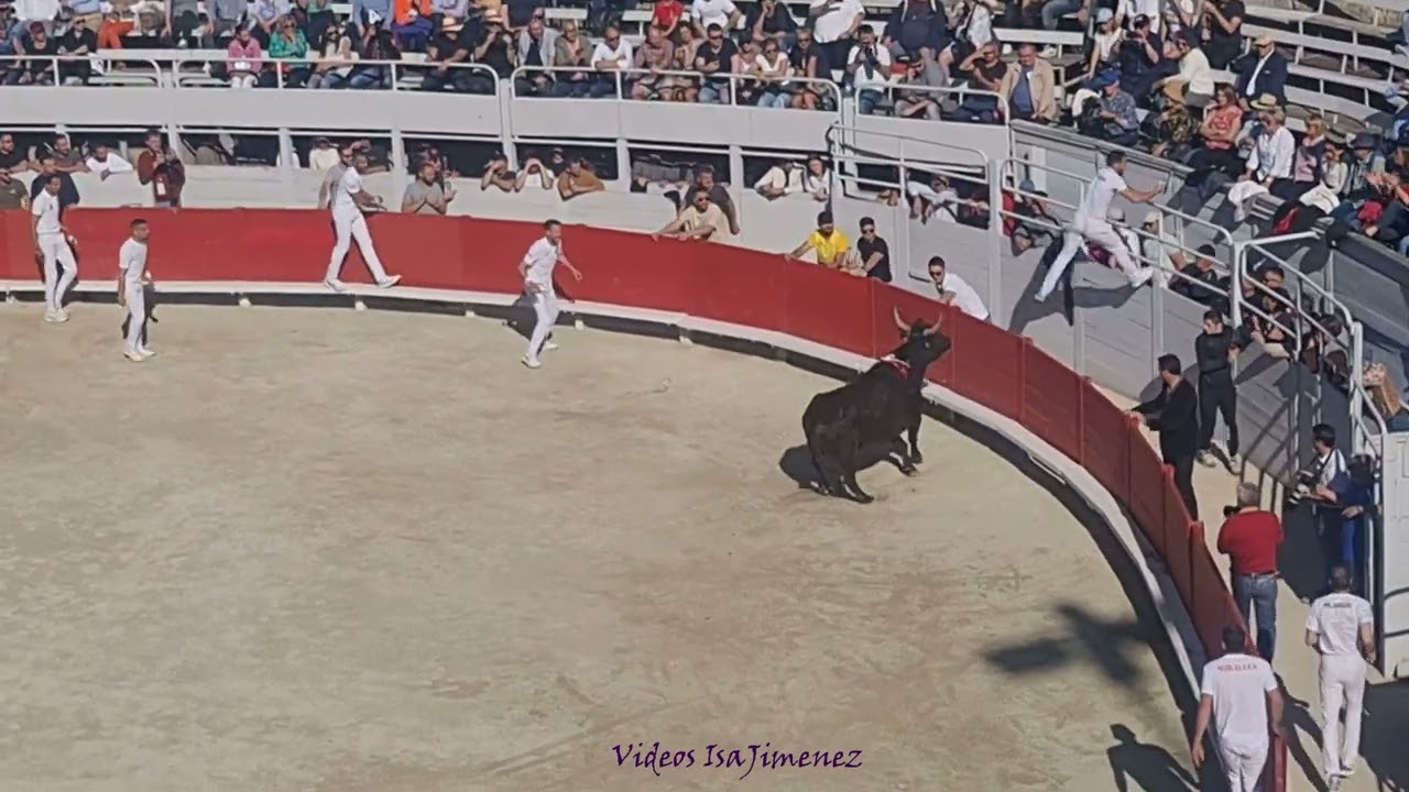 Arl&eacute;s (Francia) -  07/04/2023 - Course Camarguaise / 1 - HD