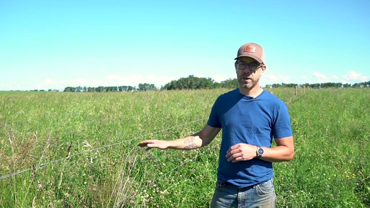 Bison in Saskatchewan | Fencing