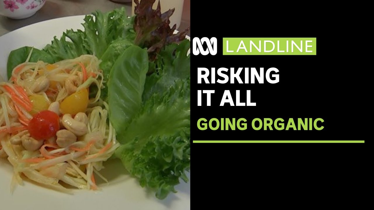 Risking it all: The cafe owner converting his customers to healthier eating | ABC News