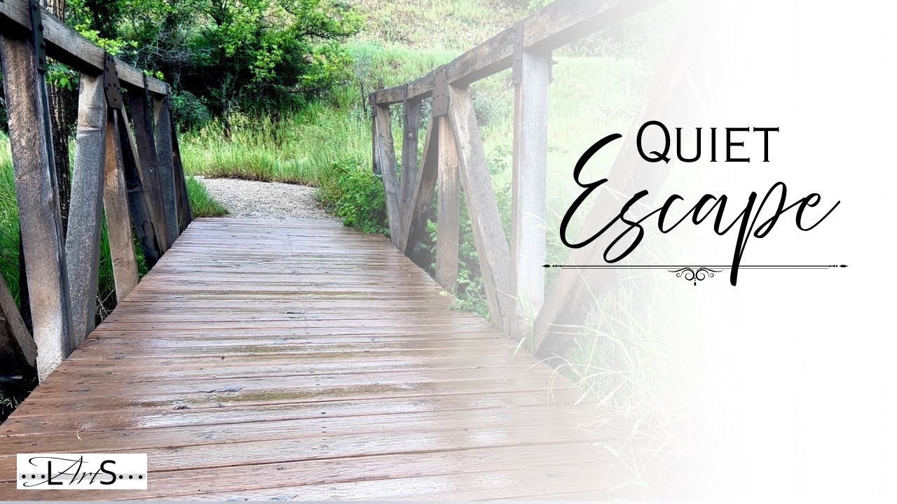 A Quiet Bridge Where Time Slows 🌿 Fall Asleep to Water, Thunder & Peaceful Music (1 Hour)