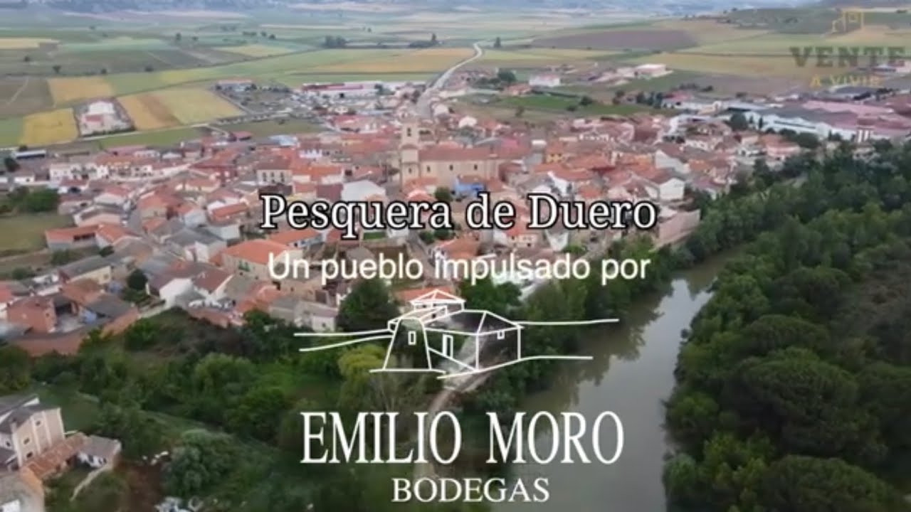 Pesquera de Duero