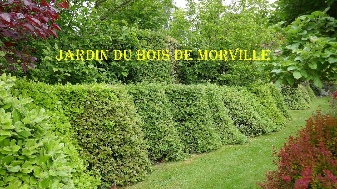 jardin du Bois de Morville