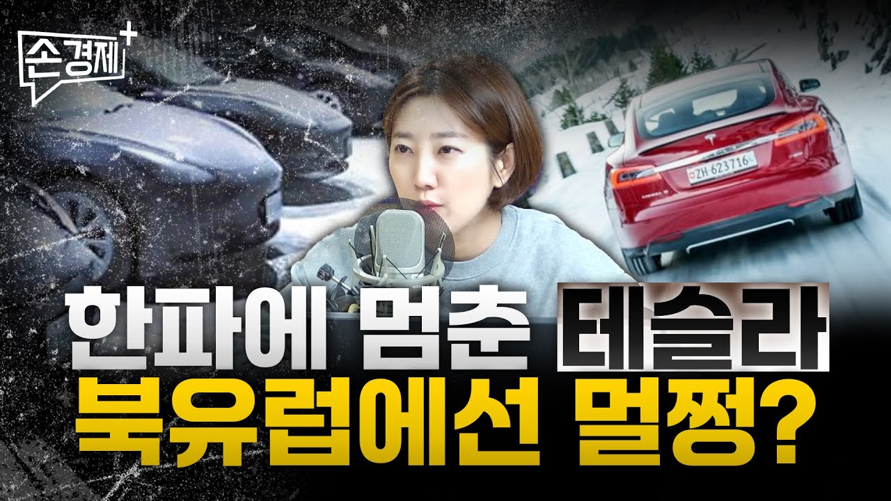 한파에도 북유럽 테슬라만 멀쩡한 이유ㅣ몰디브 망했다? (어예진 해담경제연구소장)