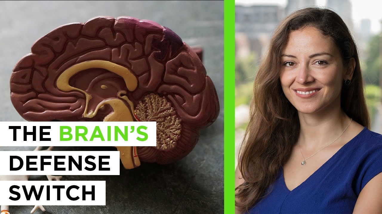 Toxins Rewrite Your Genes (And Trigger Brain Disease) | Dr. Sarah Marzi