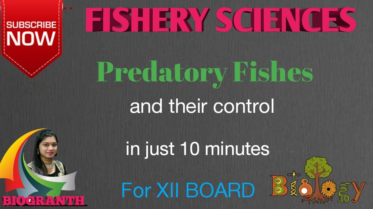 Fish Predators and their Control (12th Board)