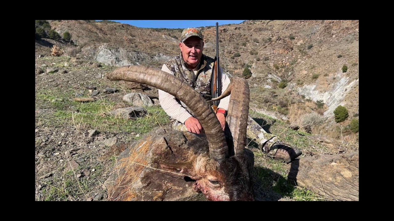 Caza de un macho montes medalla a 783 m. Spanish ibex hunting at 783 m.